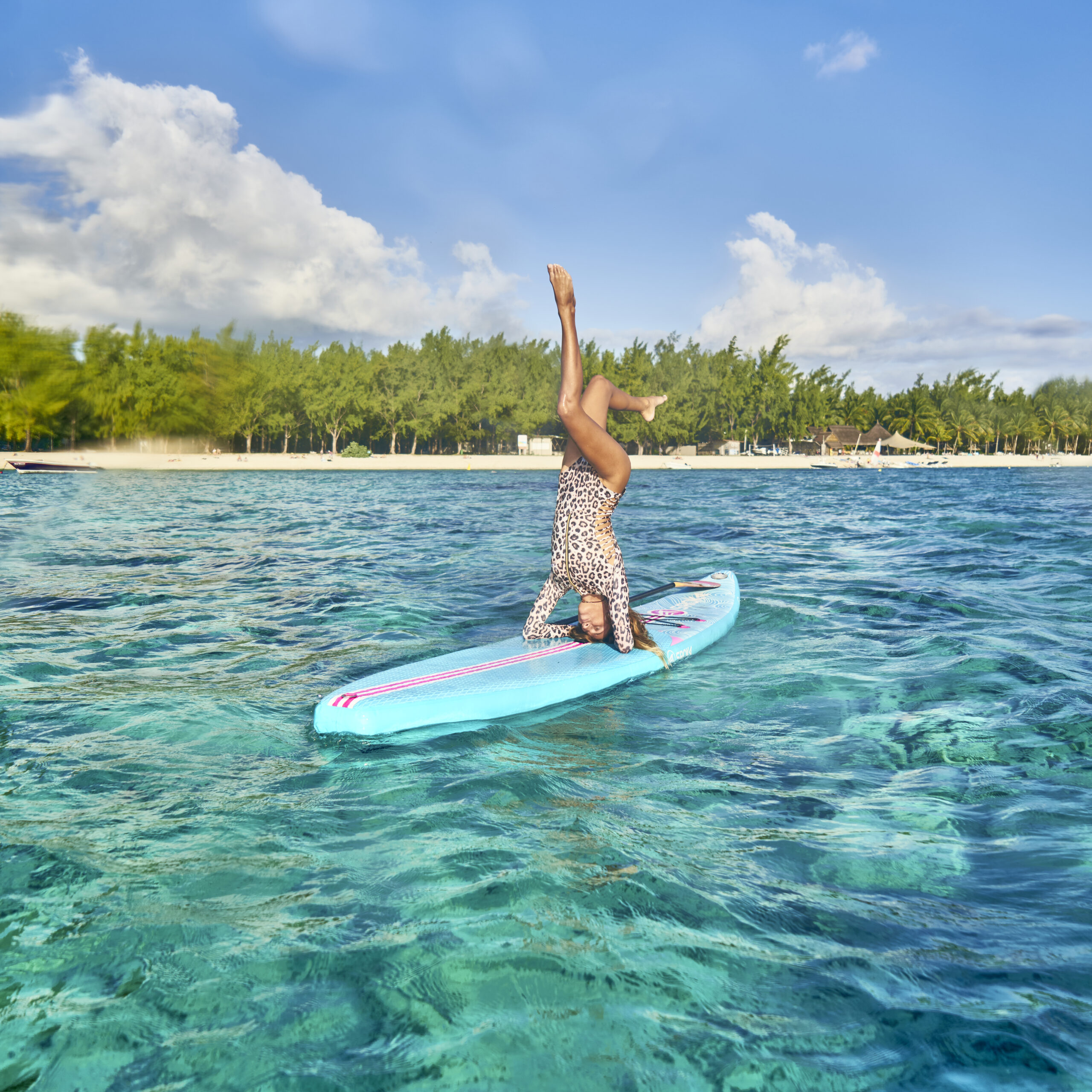 Image décorative pour les catégories