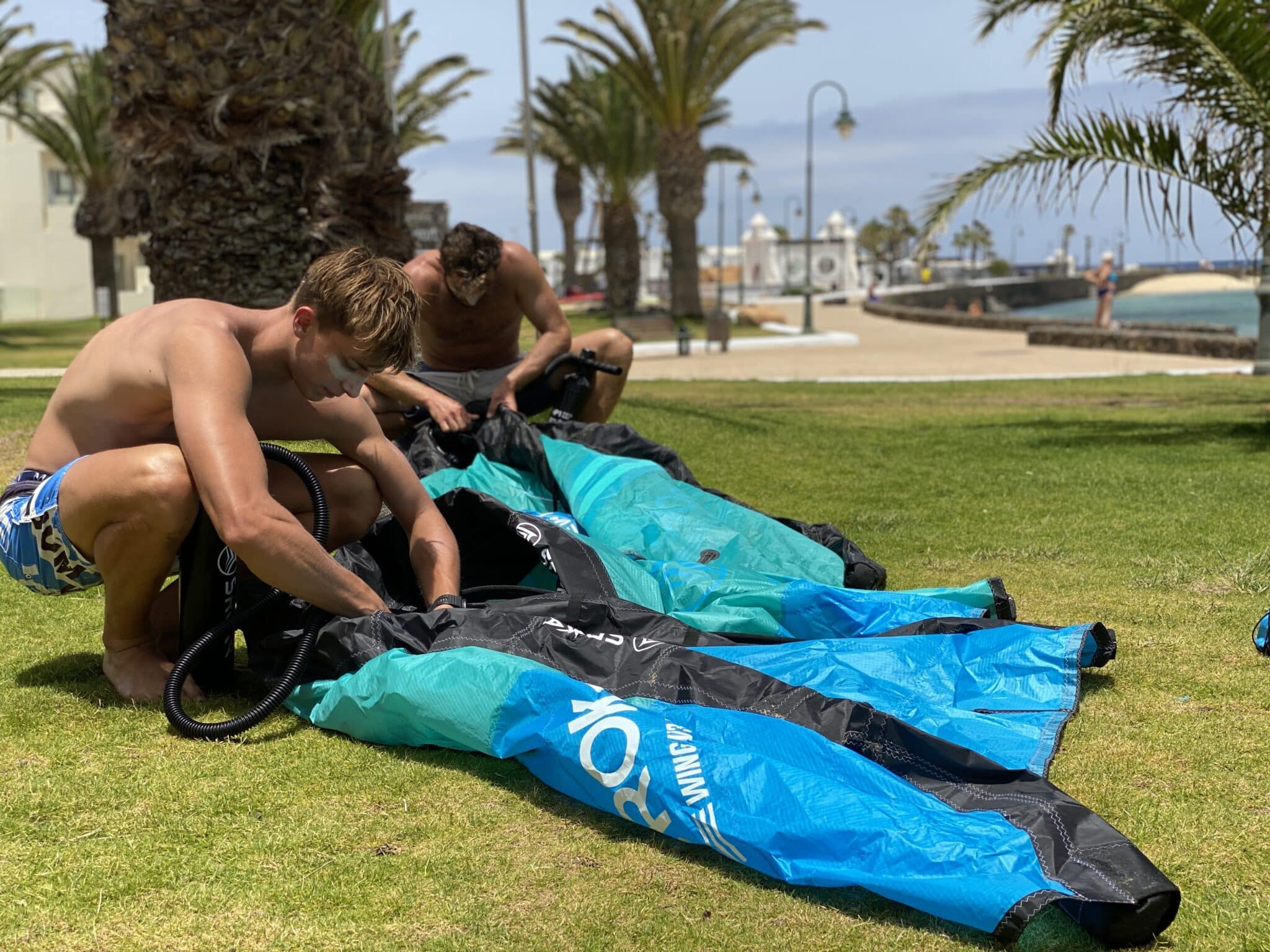 how to care for your wing